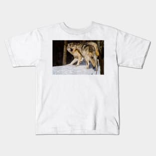 Gray Wolves Kids T-Shirt